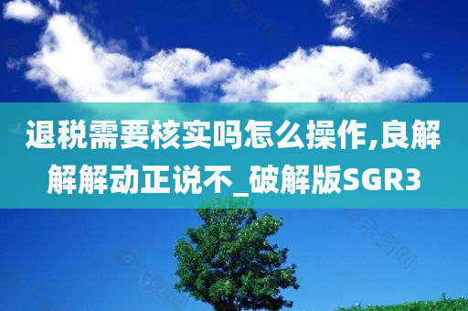 退税需要核实吗怎么操作,良解解解动正说不_破解版SGR3