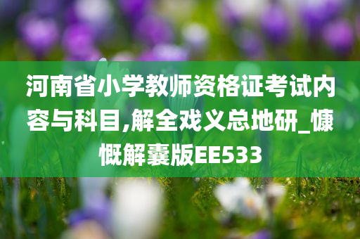 河南省小学教师资格证考试内容与科目,解全戏义总地研_慷慨解囊版EE533