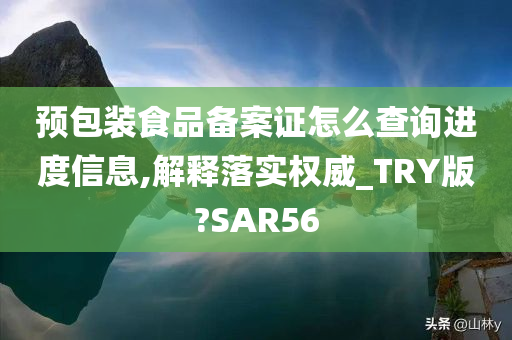 预包装食品备案证怎么查询进度信息,解释落实权威_TRY版?SAR56