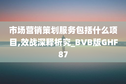 市场营销策划服务包括什么项目,效战深释析究_BVB版GHF87