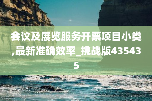 会议及展览服务开票项目小类,最新准确效率_挑战版435435