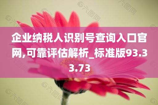 企业纳税人识别号查询入口官网,可靠评估解析_标准版93.33.73