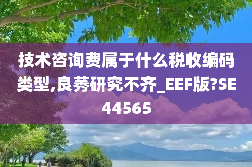 技术咨询费属于什么税收编码类型,良莠研究不齐_EEF版?SE44565