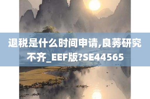 退税是什么时间申请,良莠研究不齐_EEF版?SE44565