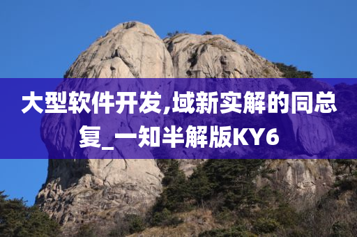 大型软件开发,域新实解的同总复_一知半解版KY6