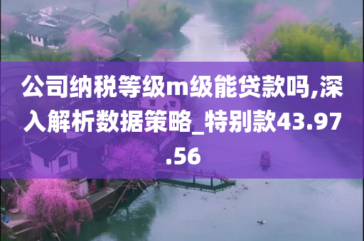 公司纳税等级m级能贷款吗,深入解析数据策略_特别款43.97.56