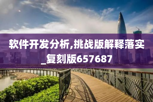 软件开发分析,挑战版解释落实_复刻版657687