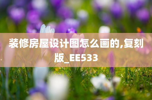 装修房屋设计图怎么画的,复刻版_EE533