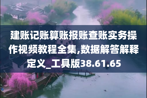 建账记账算账报账查账实务操作视频教程全集,数据解答解释定义_工具版38.61.65