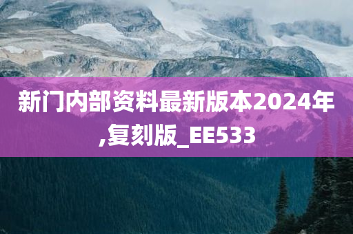 新门内部资料最新版本2024年,复刻版_EE533