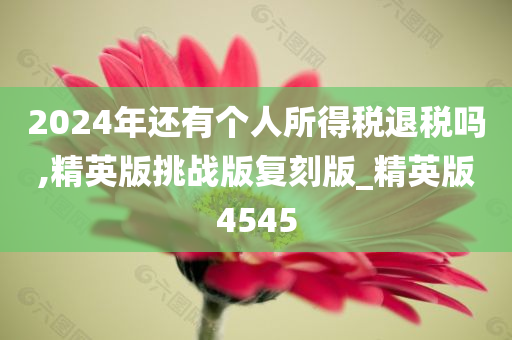 2024年还有个人所得税退税吗,精英版挑战版复刻版_精英版4545