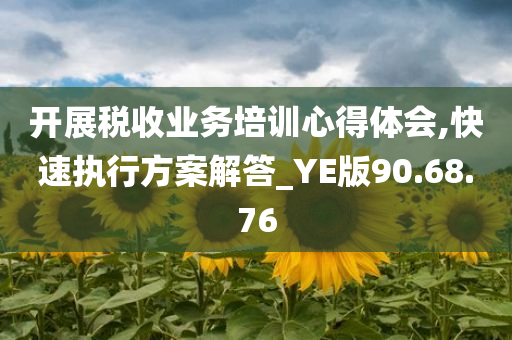 开展税收业务培训心得体会,快速执行方案解答_YE版90.68.76