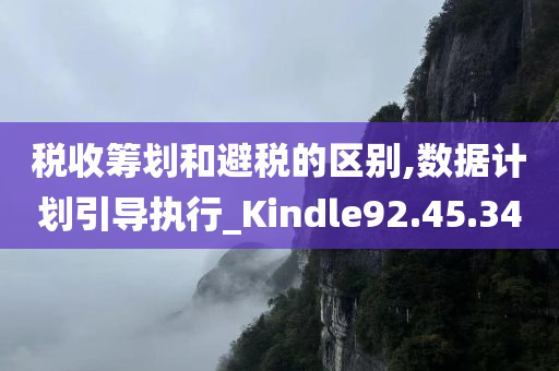 税收筹划和避税的区别,数据计划引导执行_Kindle92.45.34