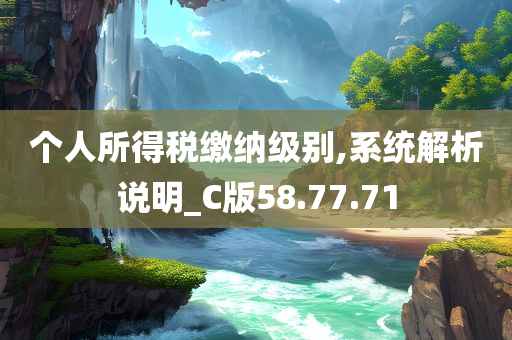 个人所得税缴纳级别,系统解析说明_C版58.77.71