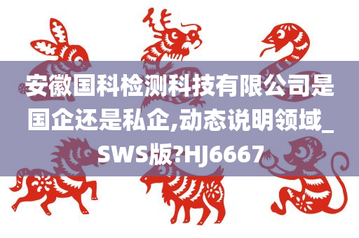 安徽国科检测科技有限公司是国企还是私企,动态说明领域_SWS版?HJ6667