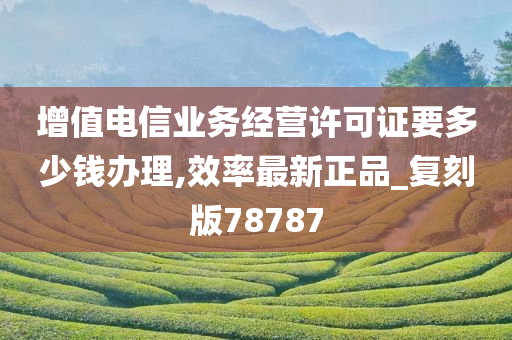 增值电信业务经营许可证要多少钱办理,效率最新正品_复刻版78787