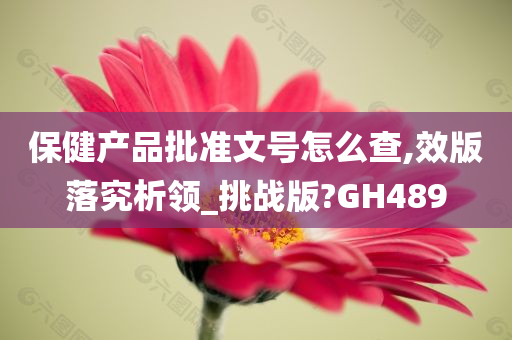 保健产品批准文号怎么查,效版落究析领_挑战版?GH489