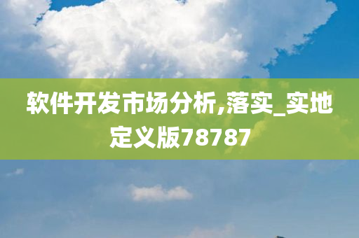 软件开发市场分析,落实_实地定义版78787