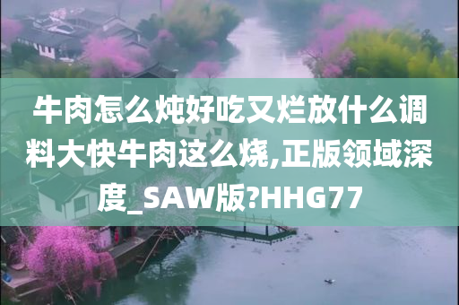 牛肉怎么炖好吃又烂放什么调料大快牛肉这么烧,正版领域深度_SAW版?HHG77