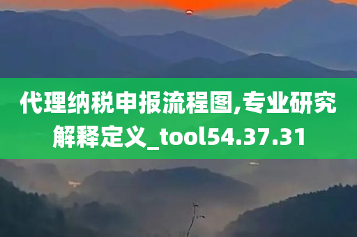 代理纳税申报流程图,专业研究解释定义_tool54.37.31