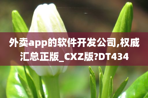 外卖app的软件开发公司,权威汇总正版_CXZ版?DT434