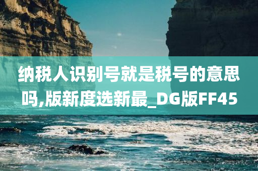 纳税人识别号就是税号的意思吗,版新度选新最_DG版FF45