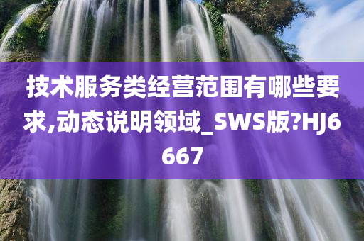 技术服务类经营范围有哪些要求,动态说明领域_SWS版?HJ6667