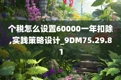 个税怎么设置60000一年扣除,实践策略设计_9DM75.29.81