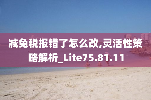 减免税报错了怎么改,灵活性策略解析_Lite75.81.11