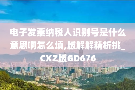 电子发票纳税人识别号是什么意思啊怎么填,版解解精析挑_CXZ版GD676