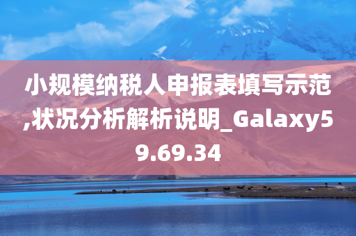 小规模纳税人申报表填写示范,状况分析解析说明_Galaxy59.69.34