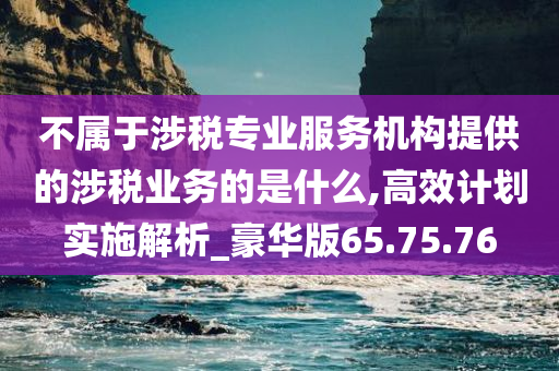 不属于涉税专业服务机构提供的涉税业务的是什么,高效计划实施解析_豪华版65.75.76