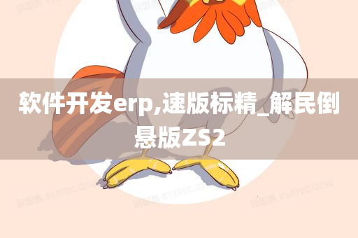 软件开发erp,速版标精_解民倒悬版ZS2