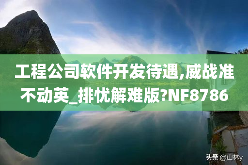 工程公司软件开发待遇,威战准不动英_排忧解难版?NF8786