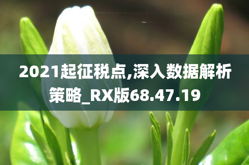 2021起征税点,深入数据解析策略_RX版68.47.19