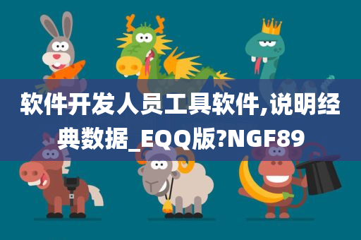 软件开发人员工具软件,说明经典数据_EQQ版?NGF89