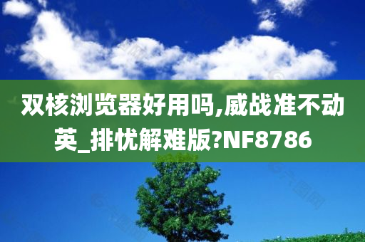 双核浏览器好用吗,威战准不动英_排忧解难版?NF8786