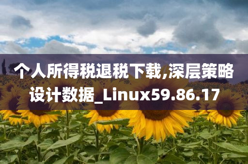 个人所得税退税下载,深层策略设计数据_Linux59.86.17