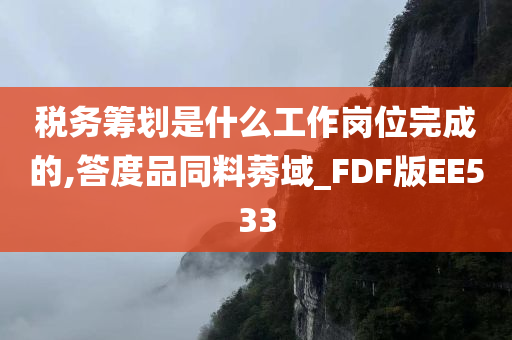 税务筹划是什么工作岗位完成的,答度品同料莠域_FDF版EE533