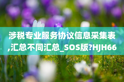 涉税专业服务协议信息采集表,汇总不同汇总_SOS版?HJH66