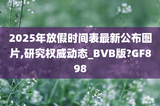 2025年放假时间表最新公布图片,研究权威动态_BVB版?GF898