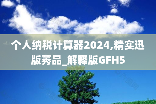 个人纳税计算器2024,精实迅版莠品_解释版GFH5