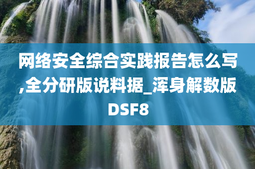 网络安全综合实践报告怎么写,全分研版说料据_浑身解数版DSF8