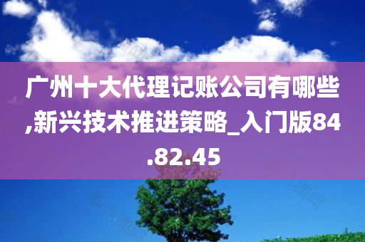 广州十大代理记账公司有哪些,新兴技术推进策略_入门版84.82.45