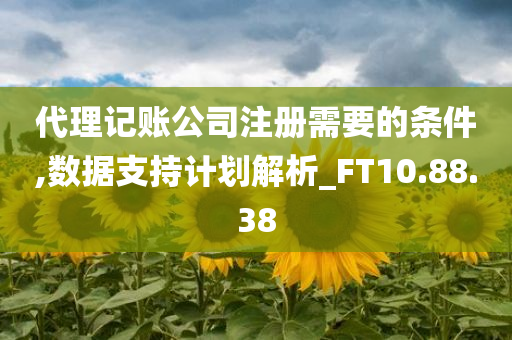 代理记账公司注册需要的条件,数据支持计划解析_FT10.88.38