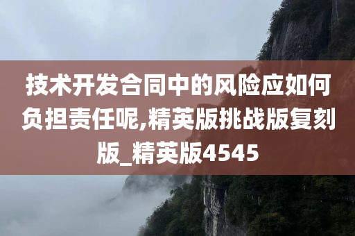 技术开发合同中的风险应如何负担责任呢,精英版挑战版复刻版_精英版4545