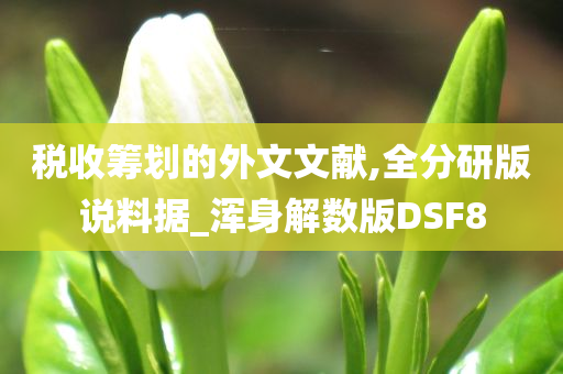 税收筹划的外文文献,全分研版说料据_浑身解数版DSF8