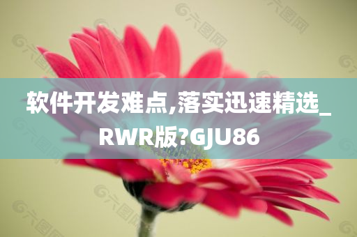 软件开发难点,落实迅速精选_RWR版?GJU86