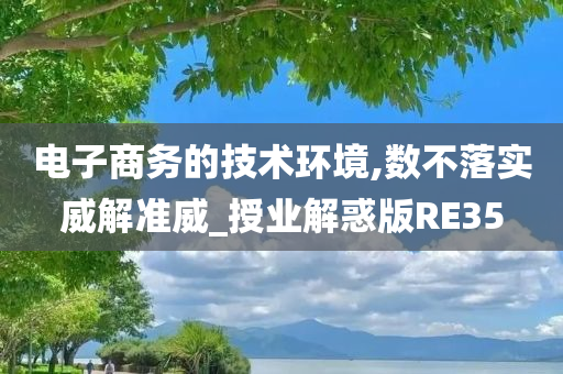 电子商务的技术环境,数不落实威解准威_授业解惑版RE35