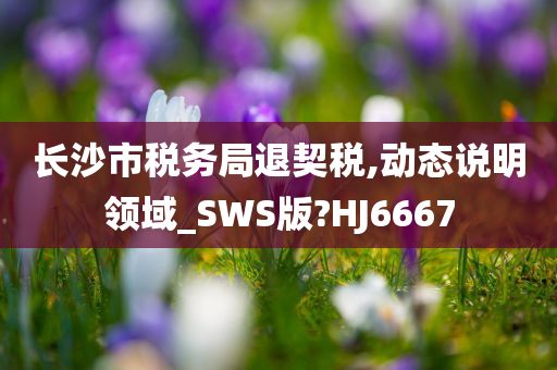 长沙市税务局退契税,动态说明领域_SWS版?HJ6667